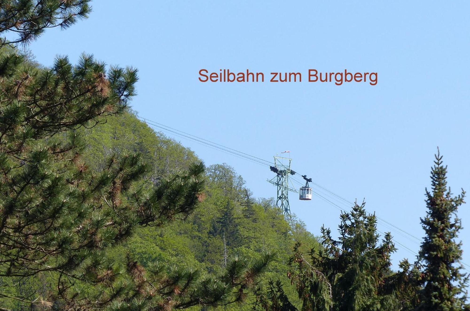 Fewo Parkblick Mit 2 Baedern Bad Harzburg Esterno foto