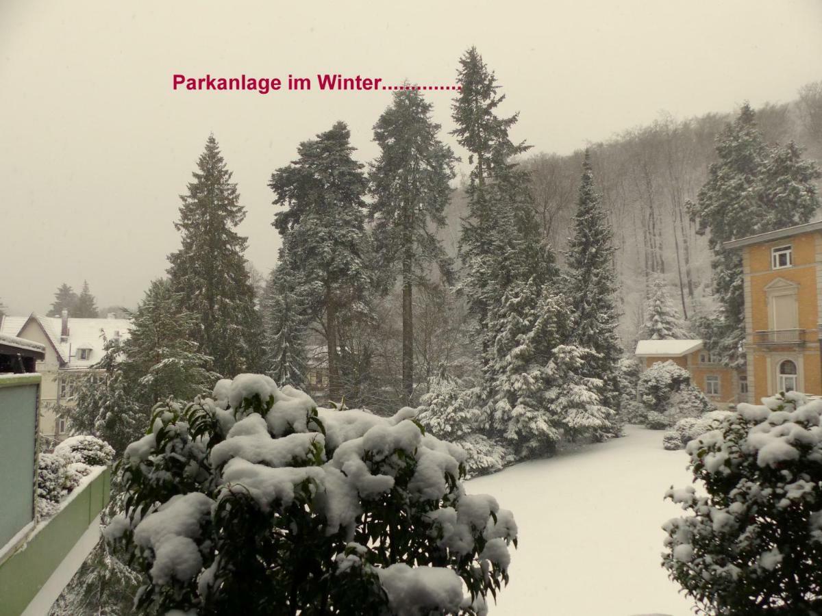 Fewo Parkblick Mit 2 Baedern Bad Harzburg Esterno foto